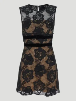 Lace Velvet Bow Mini Dress in Black