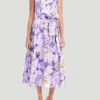 Sleeveless Printed Lace A-Line Dress